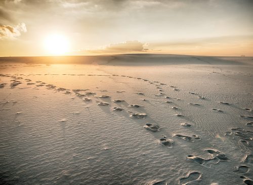Footprints in the sand